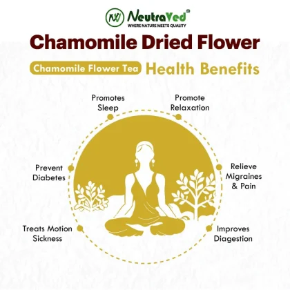 Chamomile Flower image 3
